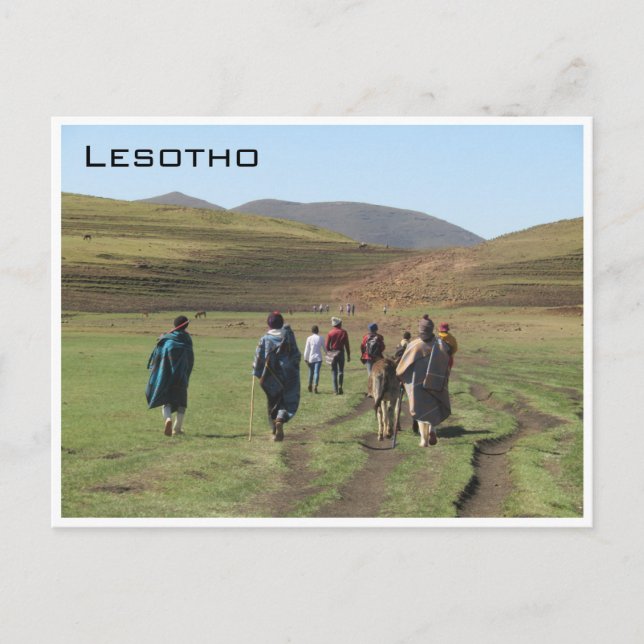 Lesotho Shepherds Postkarte (Vorderseite)