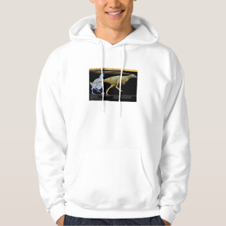 Lesothosaurus - Biologie Dinosaurier Jura Hoodie
