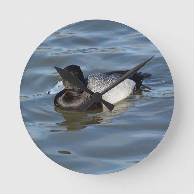 Lesser Scaup Duck Runde Wanduhr (Vorderseite)