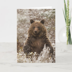 "Let it Snow"-Urlaubskarte Karte