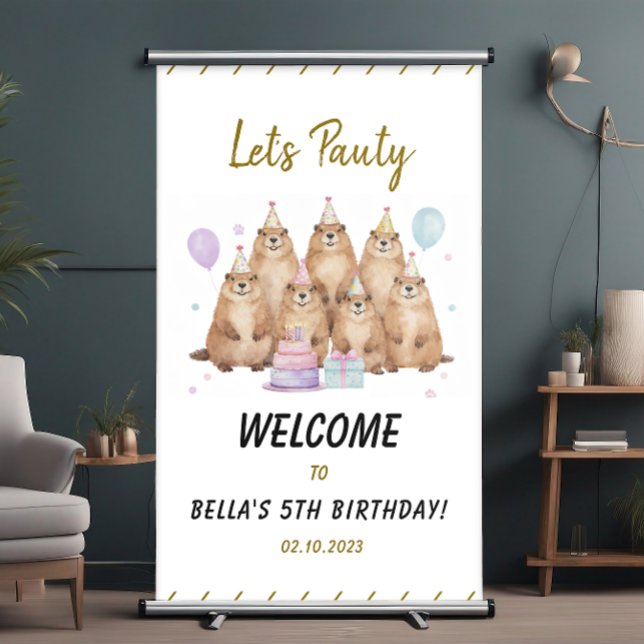 Let’s Party Groundhog 5th Birthday – Fun Kids Banner (Let’s Party Groundhog 5th Birthday – Fun Kids Banner)