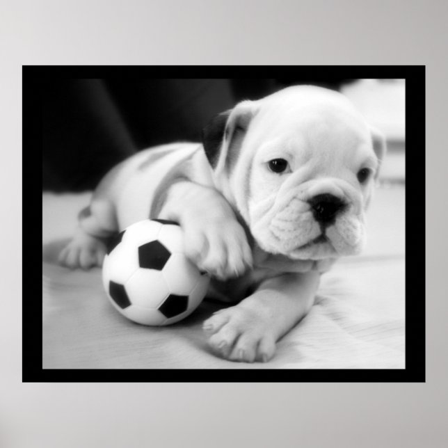"Let's Play Soccer" English Bulldog Poster (Vorne)