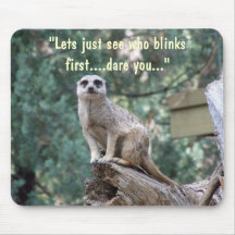 "Lets sehen, wem blinkt zuerst." lustiges