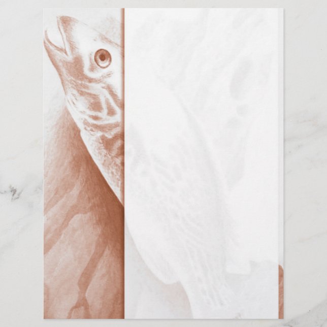 Letterhead (Vorderseite)
