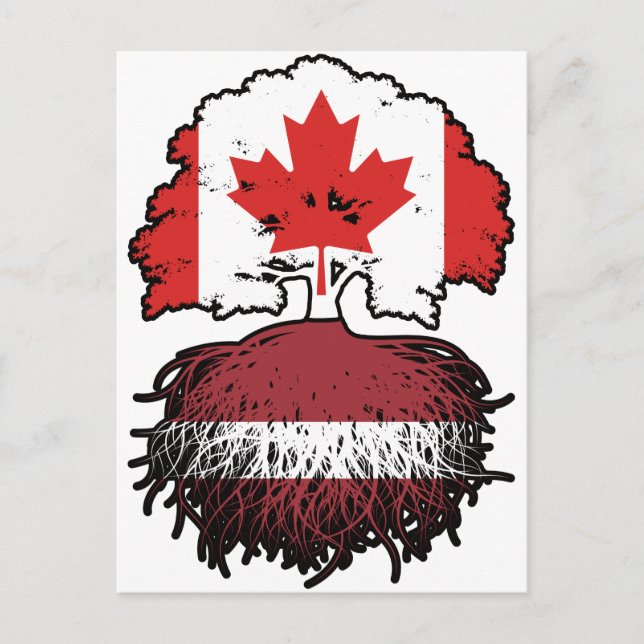 Lettisch Canadian Canada Tree Roots Flag Postkarte (Vorderseite)