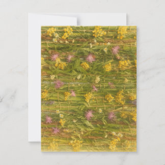Lettische Wildblumen - Naturschutz Postkarte