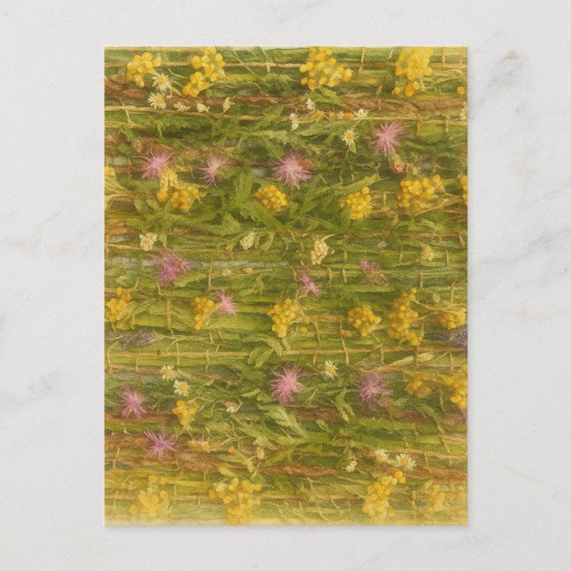 Lettische Wildblumen - Naturschutz Postkarte (Vorderseite)