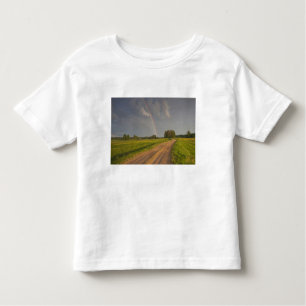 Lettland, Nordostletland, Vidzeme Region, 4 Kleinkind T-shirt