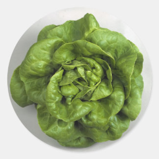 Lettuce Fresh Runder Aufkleber