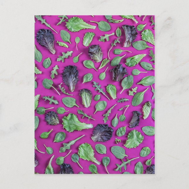 Lettuce-Grüntöne auf Lila Postkarte (Vorderseite)