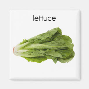 Lettuce Kühlschrank Magnet