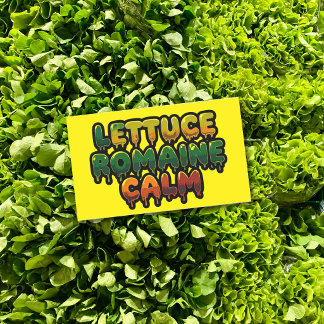 Lettuce Romaine Calm Drippy Text Art Rechteckiger Aufkleber
