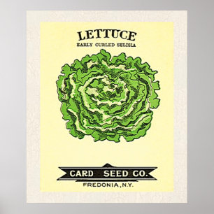 Lettuce Seeds Card Seed Company Poster
