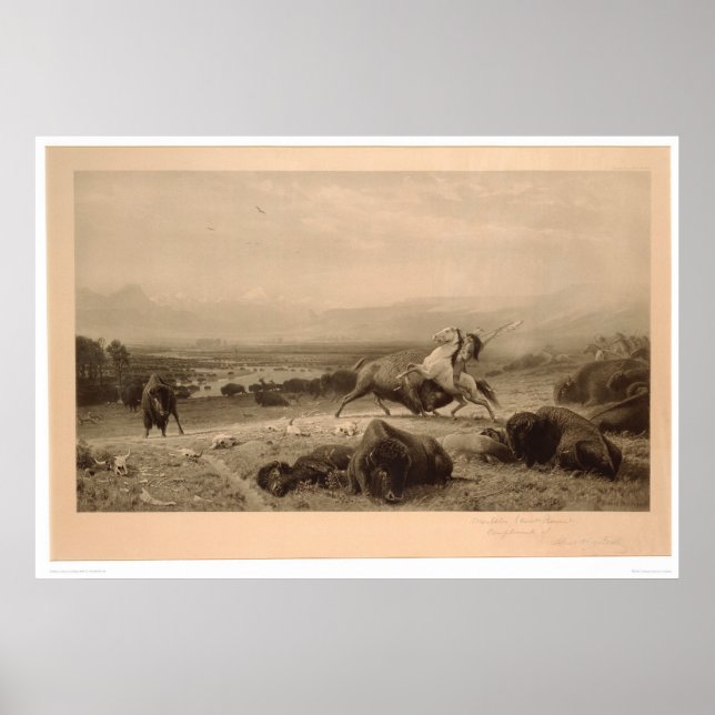 Letzte der Buffalo Bierstadt (0137A) - restauriert Poster (Vorne)