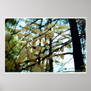 Letzte Glühbirne im Herbst lässt weiß Poster