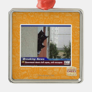 Letzte Nachrichten 2 Silbernes Ornament