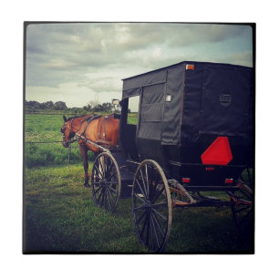 Letzte Nacht in einer Amish-Gemeinde, Amish Pferd Fliese