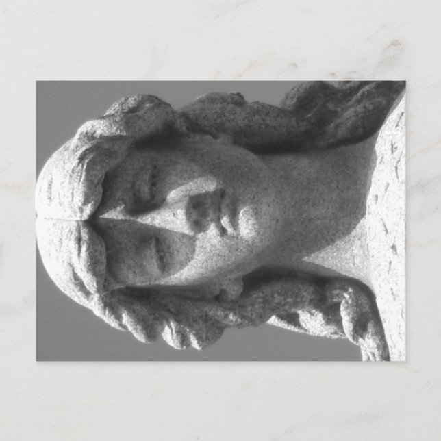 Letzte Rose 3 Schwarz-Weiß-Postkarte Postkarte (Vorderseite)