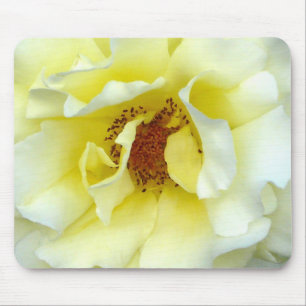 Letzte Rose des Sommers Mousepad