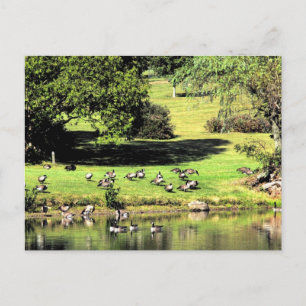 letzte Sommertage Postkarte