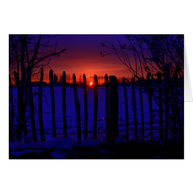 LETZTE WINTERSONNE (Vorderseite (Horizontal))