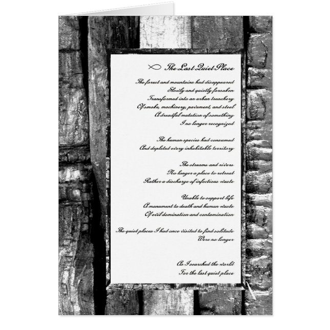 Letzter ruhiger Ort (Vorne)