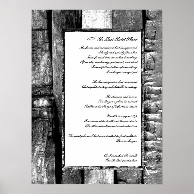 Letzter ruhiger Ort Poster (Vorne)