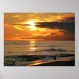 Letzter Sandpiper Poster