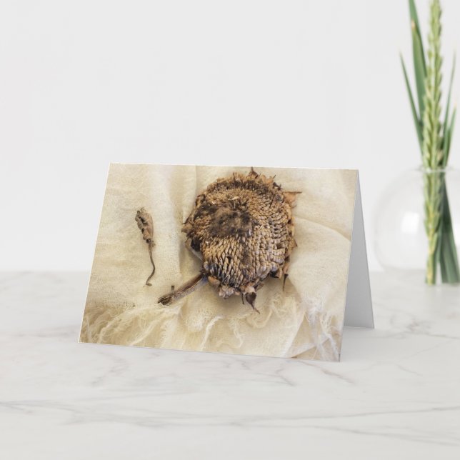 "Letztes Jahr" alter getrockneter Sonnenblumenkopf Karte (Vorderseite)