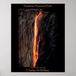 Letztes Licht: HorseTail Poster