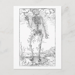 Letztes Nerv - Halloween Skelett Postkarte