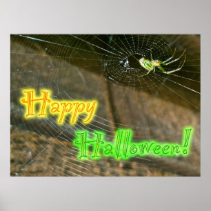 Leucauge Orb Weaver Halloween Poster