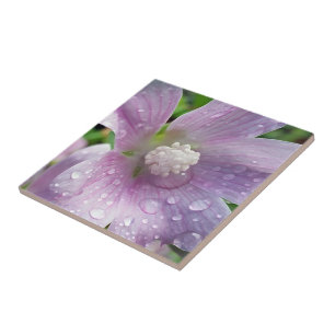 Leuchtend Lila Fliese