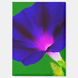 Leuchtend lila-rosa floral magnet