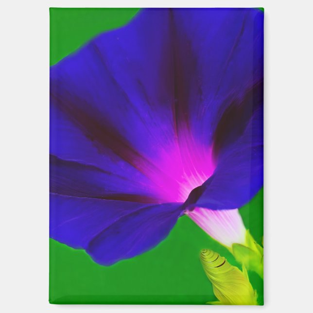 Leuchtend lila-rosa floral  magnet (Vorderseite)