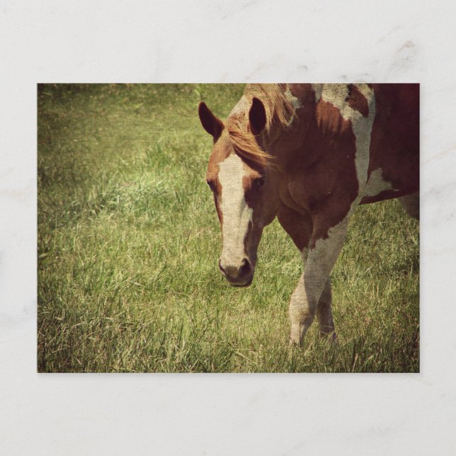 leuchtend postkarte (Vorderseite)