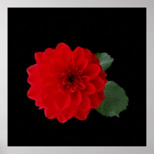 Leuchtend Rot Poster