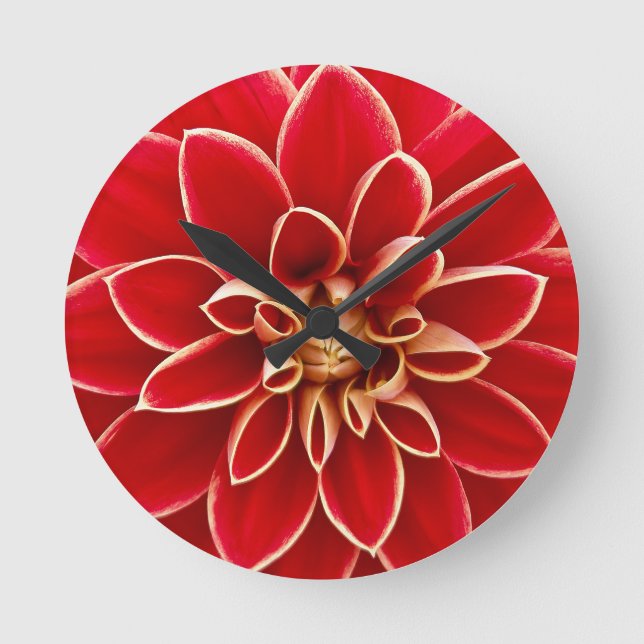 Leuchtend rote Dahlienblume Runde Wanduhr (Vorderseite)