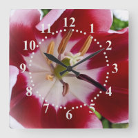 leuchtend rote Tulpe