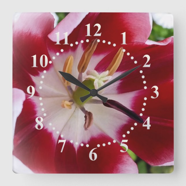 leuchtend rote Tulpe Quadratische Wanduhr (Vorderseite)