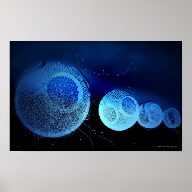 Leuchtende Abbildung von HDL Poster (Vorne)