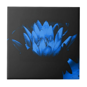 Leuchtende Blaue Lotus-Blumenkunst Fliese