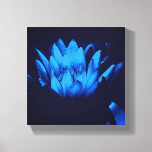 Leuchtende Blaue Wasserlilie Lotus-Blume Abstract Leinwanddruck