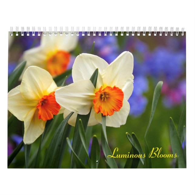 Leuchtende Blüten Kalender (Titelbild)