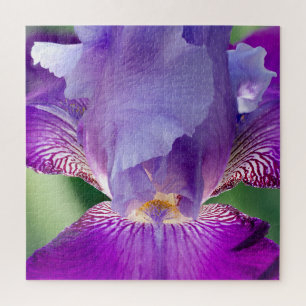 Leuchtende Iris Natur- / Blumen- / Botanikfoto Puzzle