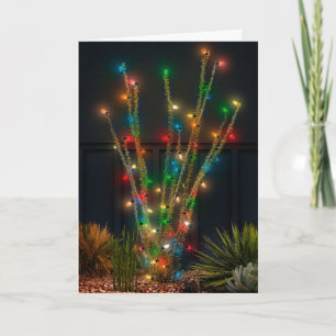 Leuchtende Ocotillo Feiertagskarte