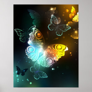 Leuchtende Schmetterlinge und Nachtfalter Poster