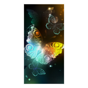 Leuchtende Schmetterlinge und Nachtfalter Poster