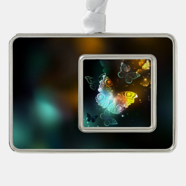 Leuchtende Schmetterlinge und Nachtschmetterlinge Rahmen-Ornament Silber (Vorderseite)