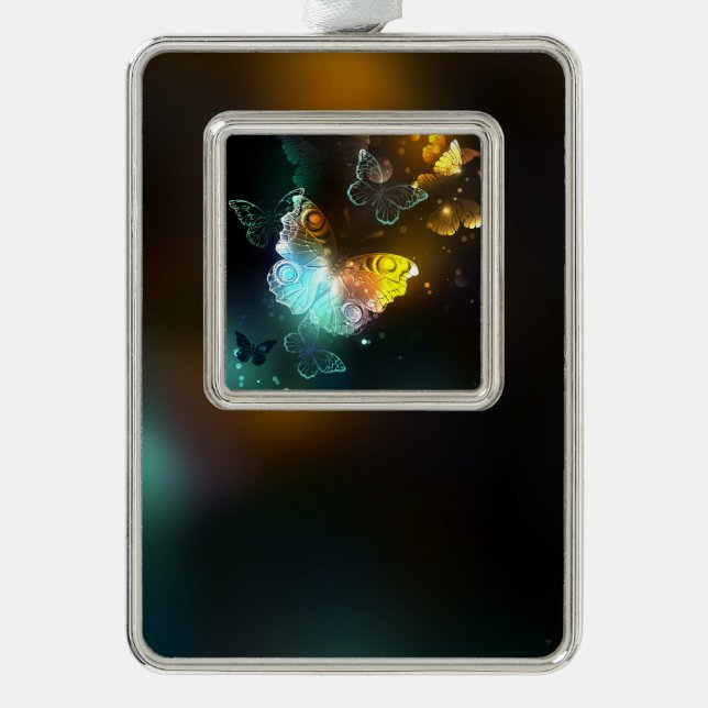 Leuchtende Schmetterlinge und Nachtschmetterlinge Rahmen-Ornament Silber (Vorderseite)